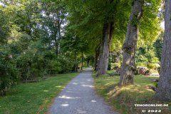 Parkfriedhof-Am-Zingel-Stadt-Norden-6.8.2022-31