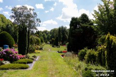 Parkfriedhof-Am-Zingel-Stadt-Norden-6.8.2022-34