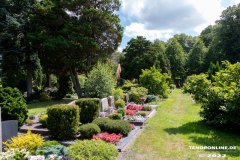 Parkfriedhof-Am-Zingel-Stadt-Norden-6.8.2022-38