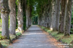 Parkfriedhof-Am-Zingel-Stadt-Norden-6.8.2022-44