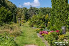 Parkfriedhof-Am-Zingel-Stadt-Norden-6.8.2022-62