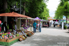 Pfingstmarkt-Norden-6.6.2019-0035