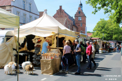 Pfingstmarkt-Norden-9.6.2019-14