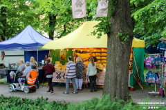 Pfinmgstmarkt-Norden-10.6.2019-11