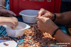 Piratenfest-Norden-17.7.2022-0105