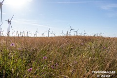 Radtour-Hage-Norden-Ostermarsch-18.7.2022-0026