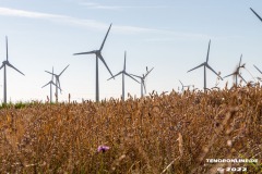 Radtour-Hage-Norden-Ostermarsch-18.7.2022-0028