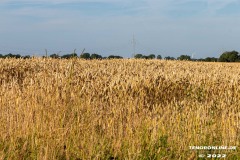 Radtour-Hage-Norden-Ostermarsch-18.7.2022-0031