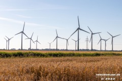Radtour-Hage-Norden-Ostermarsch-18.7.2022-0035
