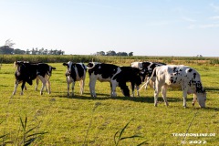 Radtour-Hage-Norden-Ostermarsch-18.7.2022-0059