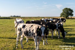 Radtour-Hage-Norden-Ostermarsch-18.7.2022-0099