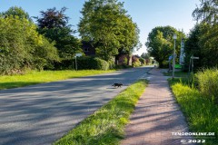Radtour-Hage-Norden-Ostermarsch-18.7.2022-0101