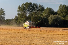 Radtour-Hage-Norden-Ostermarsch-18.7.2022-0149