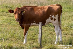 Radtour-Hage-Breiter-Weg-Ostermarsch-Luetetsburg-18.6.2023-27