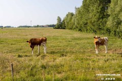 Radtour-Hage-Breiter-Weg-Ostermarsch-Luetetsburg-18.6.2023-31