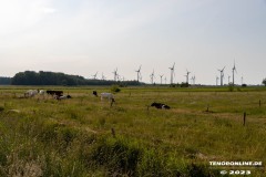 Radtour-Hage-Breiter-Weg-Ostermarsch-Luetetsburg-18.6.2023-32