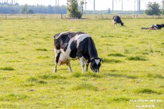 Radtour-Hage-Breiter-Weg-Ostermarsch-Luetetsburg-18.6.2023-4