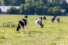 Radtour-Hage-Breiter-Weg-Ostermarsch-Luetetsburg-18.6.2023-5