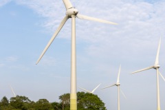 Radtour-Hage-Breiter-Weg-Ostermarsch-Luetetsburg-18.6.2023-52