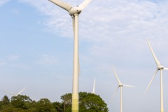 Radtour-Hage-Breiter-Weg-Ostermarsch-Luetetsburg-18.6.2023-53