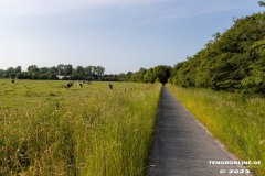Radtour-Hage-Breiter-Weg-Ostermarsch-Luetetsburg-18.6.2023-6