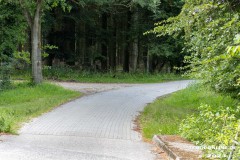 Radtour-Hage-Breiter-Weg-Ostermarsch-Luetetsburg-18.6.2023-63