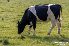 Radtour-Hage-Breiter-Weg-Ostermarsch-Luetetsburg-18.6.2023-7