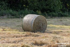Radtour-Hage-Breiter-Weg-Ostermarsch-Luetetsburg-18.6.2023-9