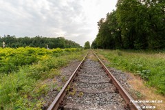 Radtour-Hage-Breiter-Weg-Ostermarsch-Luetetsburg-Ultraweitwinkel-18.6.2023-13