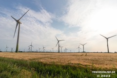Radtour-Hage-Breiter-Weg-Ostermarsch-Luetetsburg-Ultraweitwinkel-18.6.2023-2