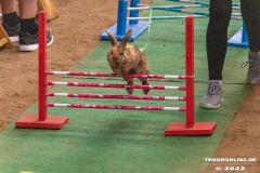 Rassekaninchenschau-RKZV-I52-Norden-Welsh-A-Gestuet-Siemers-Leybuchtpolder-04.09.2022-11