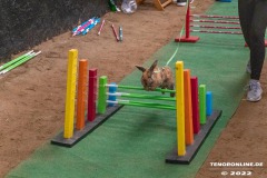 Rassekaninchenschau-RKZV-I52-Norden-Welsh-A-Gestuet-Siemers-Leybuchtpolder-04.09.2022-12