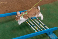 Rassekaninchenschau-RKZV-I52-Norden-Welsh-A-Gestuet-Siemers-Leybuchtpolder-04.09.2022-18