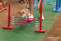 Rassekaninchenschau-RKZV-I52-Norden-Welsh-A-Gestuet-Siemers-Leybuchtpolder-04.09.2022-19