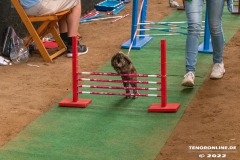 Rassekaninchenschau-RKZV-I52-Norden-Welsh-A-Gestuet-Siemers-Leybuchtpolder-04.09.2022-20