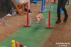 Rassekaninchenschau-RKZV-I52-Norden-Welsh-A-Gestuet-Siemers-Leybuchtpolder-04.09.2022-21