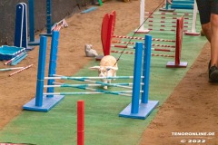 Rassekaninchenschau-RKZV-I52-Norden-Welsh-A-Gestuet-Siemers-Leybuchtpolder-04.09.2022-22