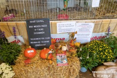 Rassekaninchenschau-RKZV-I52-Norden-Welsh-A-Gestuet-Siemers-Leybuchtpolder-04.09.2022-27