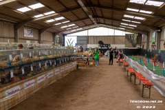 Rassekaninchenschau-RKZV-I52-Norden-Welsh-A-Gestuet-Siemers-Leybuchtpolder-04.09.2022-29