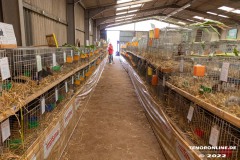 Rassekaninchenschau-RKZV-I52-Norden-Welsh-A-Gestuet-Siemers-Leybuchtpolder-04.09.2022-30