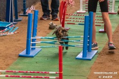 Rassekaninchenschau-RKZV-I52-Norden-Welsh-A-Gestuet-Siemers-Leybuchtpolder-04.09.2022-7