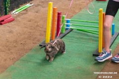 Rassekaninchenschau-RKZV-I52-Norden-Welsh-A-Gestuet-Siemers-Leybuchtpolder-04.09.2022-8