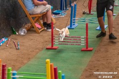 Rassekaninchenschau-RKZV-I52-Norden-Welsh-A-Gestuet-Siemers-Leybuchtpolder-04.09.2022-9