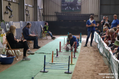 Rassekaninchenschau-RKZV-I52-Norden-Siemers-Leybuchtpolder-11.8.2019-11