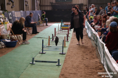 Rassekaninchenschau-RKZV-I52-Norden-Siemers-Leybuchtpolder-11.8.2019-13