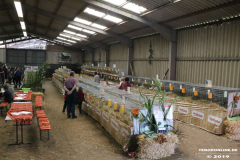 Rassekaninchenschau-RKZV-I52-Norden-Siemers-Leybuchtpolder-11.8.2019-18