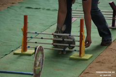Rassekaninchenschau-RKZV-I52-Norden-Siemers-Leybuchtpolder-11.8.2019-19