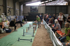 Rassekaninchenschau-RKZV-I52-Norden-Siemers-Leybuchtpolder-11.8.2019-21