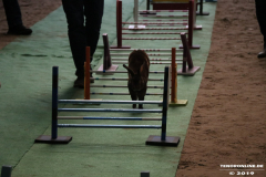 Rassekaninchenschau-RKZV-I52-Norden-Siemers-Leybuchtpolder-11.8.2019-22