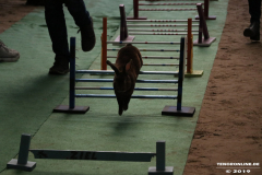 Rassekaninchenschau-RKZV-I52-Norden-Siemers-Leybuchtpolder-11.8.2019-23